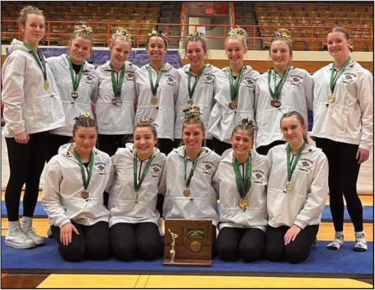 PHS gymnasts place ninth at state competition
