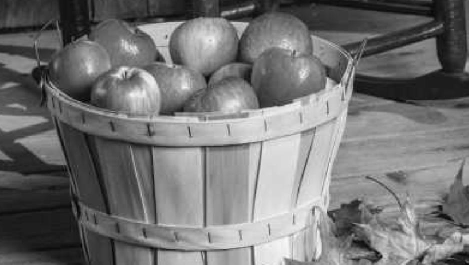 MacQueen Orchards’ fall festival returns Perrysburg Messenger Journal